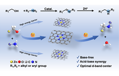 Zn single-atoms microenvironment regulation for base-free reductive amination reaction of alcohols and amines 2026.101113